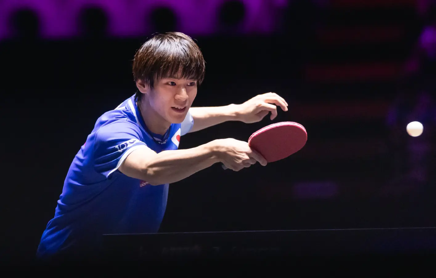 amp, 门冠军赛男