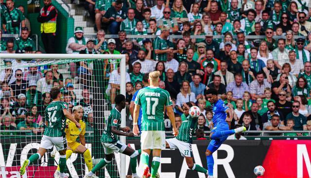 仁的法兰克, 轮首次替补 仁的法兰克, 轮首次替补