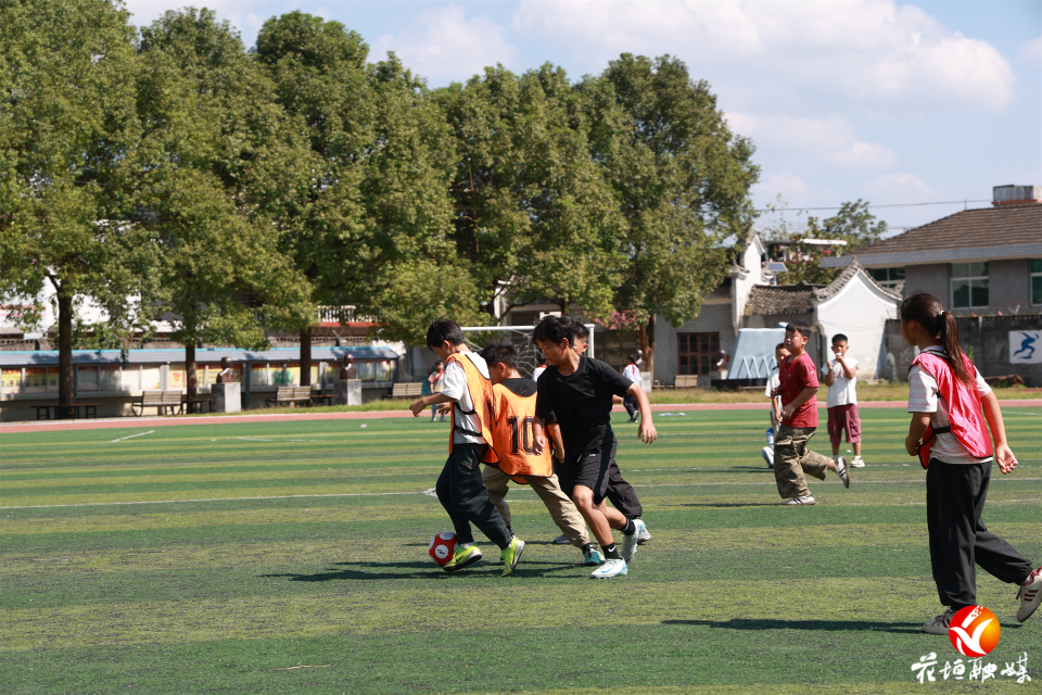 场上, https, 传运球训练 场上, https, 传运球训练